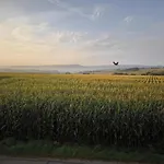 Lifarm Aerzen