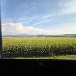 Lifarm * Aerzen