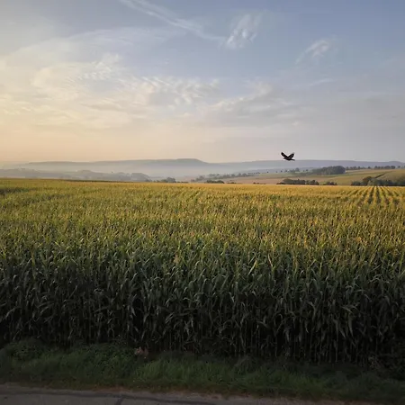 Lifarm Aerzen